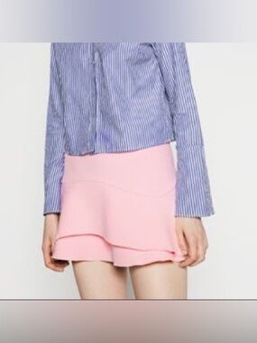 Zara Pink Ruffle Skirt
